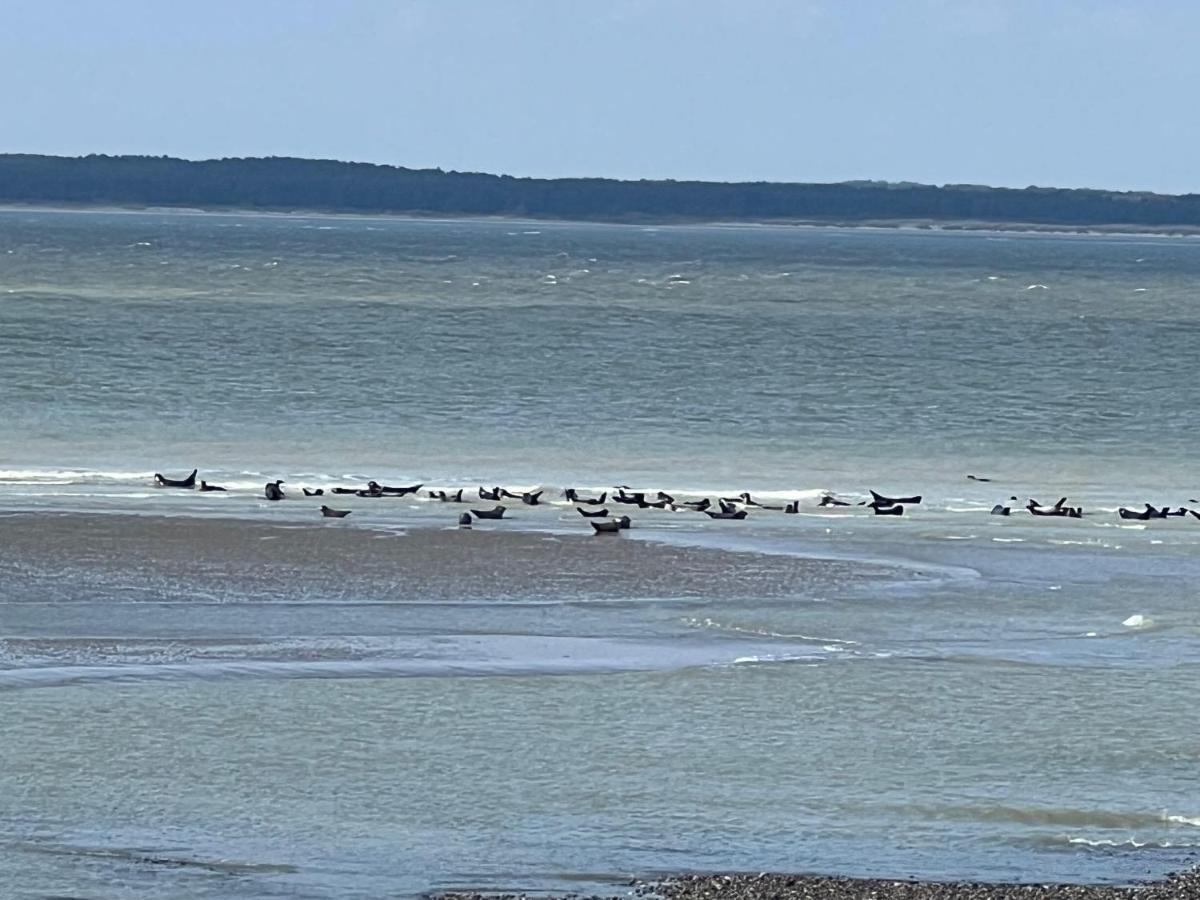 Plage à 50m Appartement Rêves étoilés Villa Les Bains de Mers Esterno foto